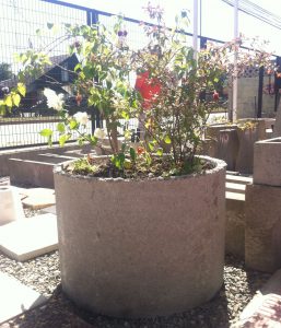 Módulo - Jardinera-image